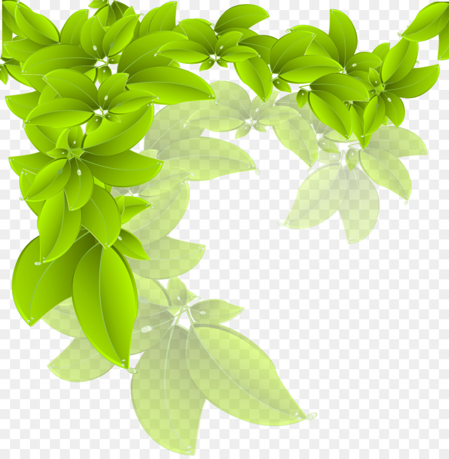 Branch Green Leaf - Vector leaves png download - 1344*1363 - Free Transparent Branch png Download.