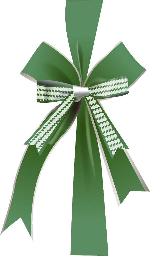 Green Bow Png Free Logo Image