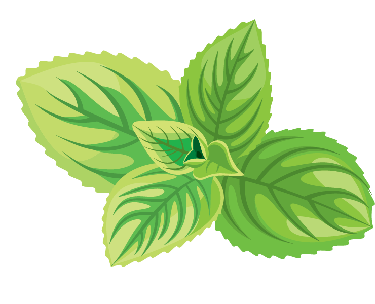 Green tea Cosmetics Herb Icon - Natural herbs png download - 740*600