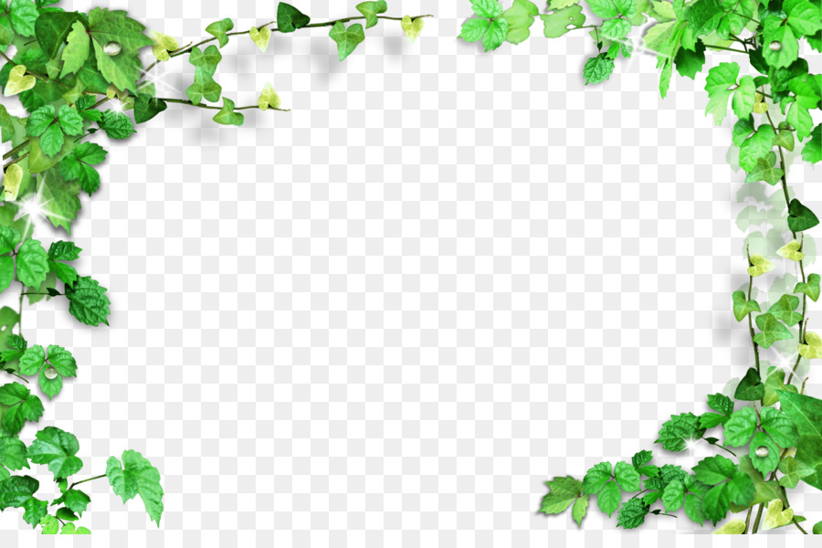 Green - Green leaves frame,Plant Frame png download - 4000*2600 - Free Transparent Green png Download.