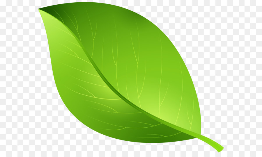 Cartoon - Green Leaf Transparent PNG Clip Art Image png download - 8000*6540 - Free Transparent Leaf png Download.