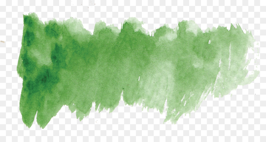 Green Creativity - Green aesthetic forest creative elements png download - 1547*805 - Free Transparent Green png Download.