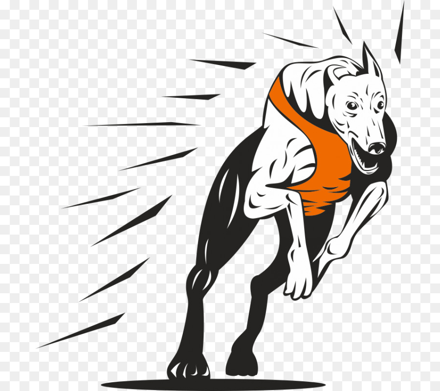 Greyhound racing Clip art - others png download - 800*800 - Free Transparent Greyhound png Download.