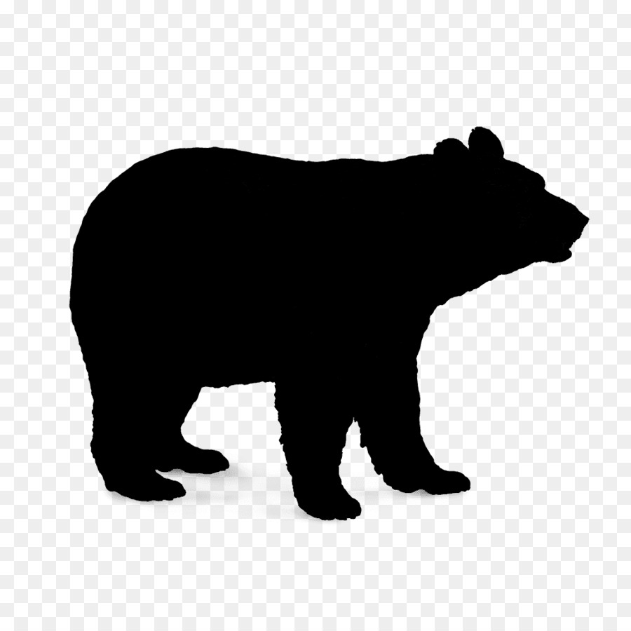 Polar bear Brown bear American black bear Vector graphics -  png download - 1024*1024 - Free Transparent Bear png Download.