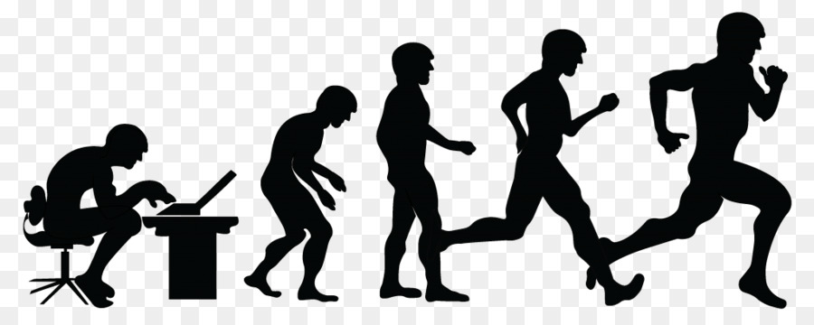 Clip art Image Drawing Evolution Human - room wallpaper hd png download - 1024*398 - Free Transparent Drawing png Download.