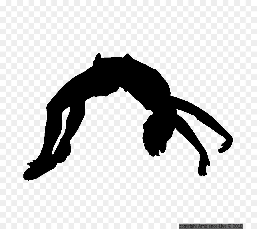 Silhouette Cheerleading Tumbling Gymnastics Clip art - Pole Vault png download - 800*800 - Free Transparent Silhouette png Download.