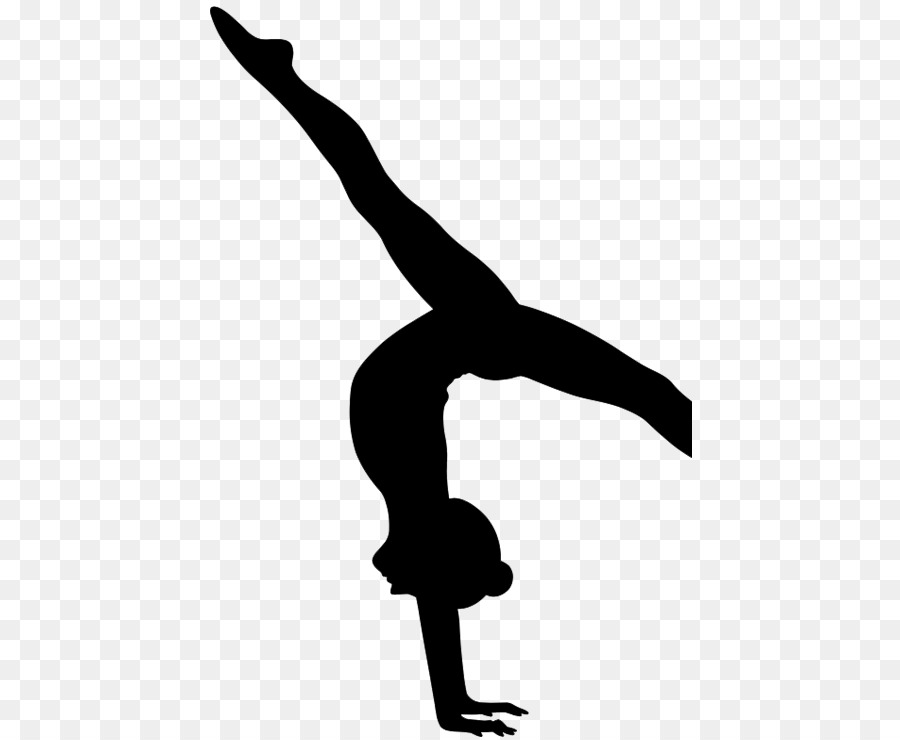 Metro Gymnastics Kokokahi Gymnastics Team Coach Cartwheel - gymnastics png download - 485*740 - Free Transparent Metro Gymnastics png Download.