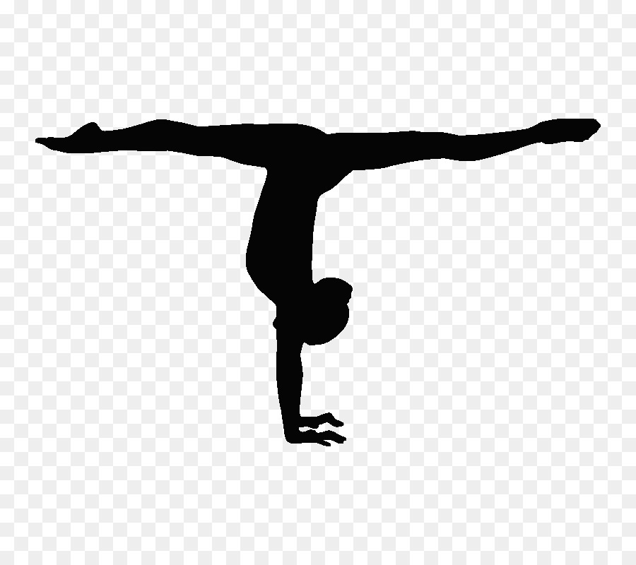 Gymnastics Handstand Balance beam Split Sport - gymnastics png download - 800*800 - Free Transparent Gymnastics png Download.