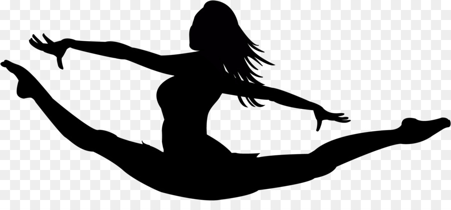 North Springs Charter School of Arts and Sciences Rhythmic gymnastics Silhouette Monochrome photography - gymnastics png download - 2400*1072 - Free Transparent North Springs Charter School Of Arts And Sciences png Download.