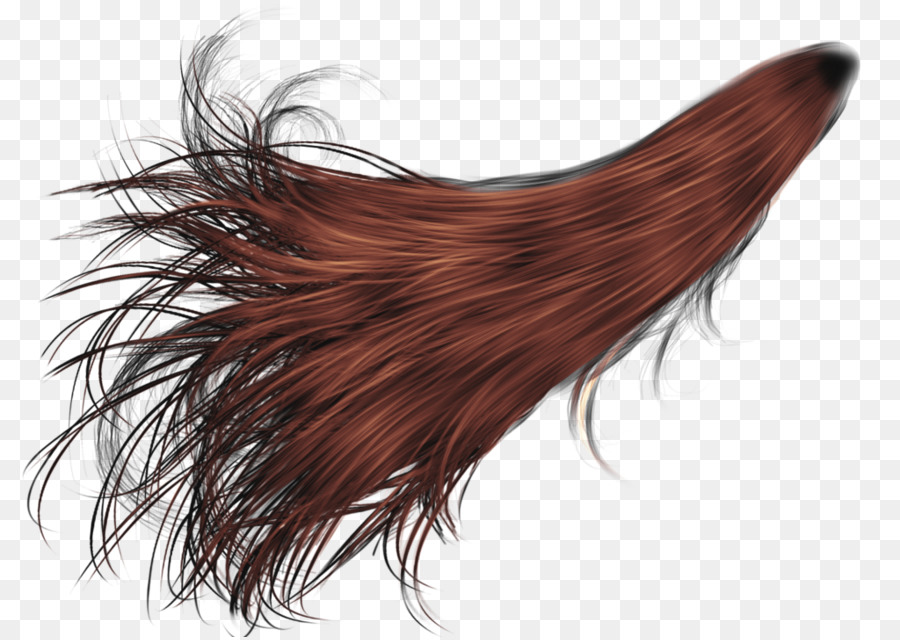 Hairstyle - Hair PNG Image png download - 1024*725 - Free Transparent Hair png Download.