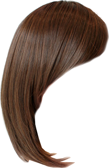 Hairstyle Wig Bangs Brown Hair Hair Wig Png Download 421 645 Free Transparent Hairstyle Png Download Clip Art Library