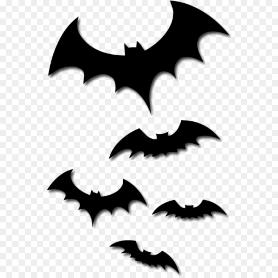 Halloween Bat YouTube Clip art - others png download - 600*894 - Free Transparent Halloween  png Download.