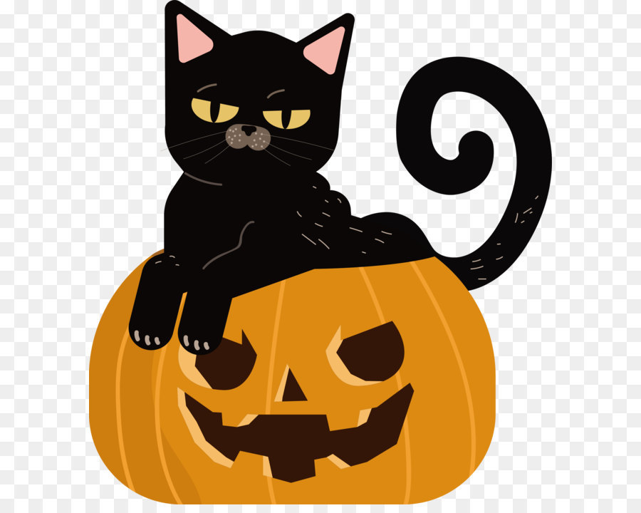 The cat sitting in the pumpkin png download - 2756*3000 - Free Transparent Cat png Download.
