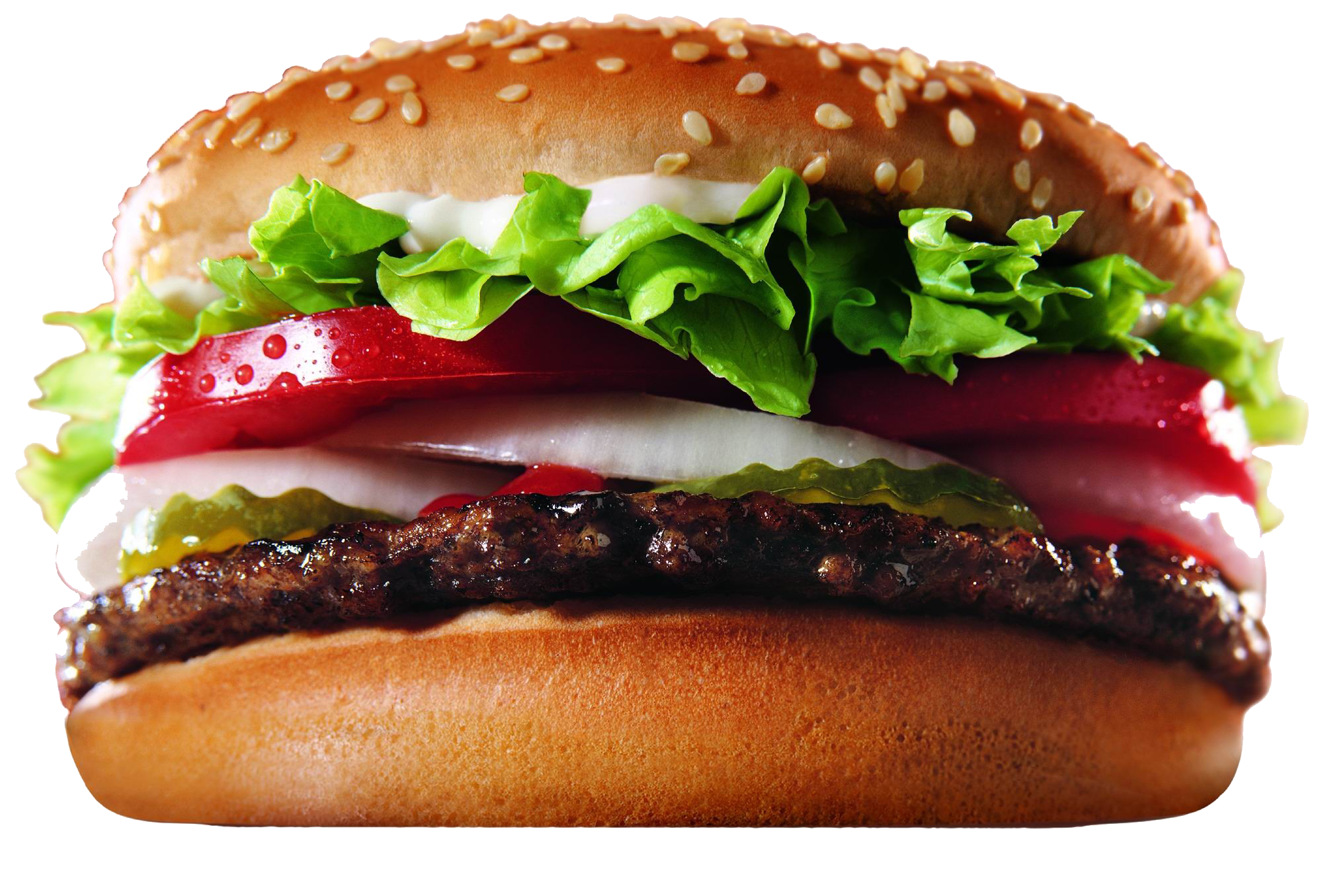 whopper-hamburger-fast-food-french-fries-mcdonald-s-quarter-pounder