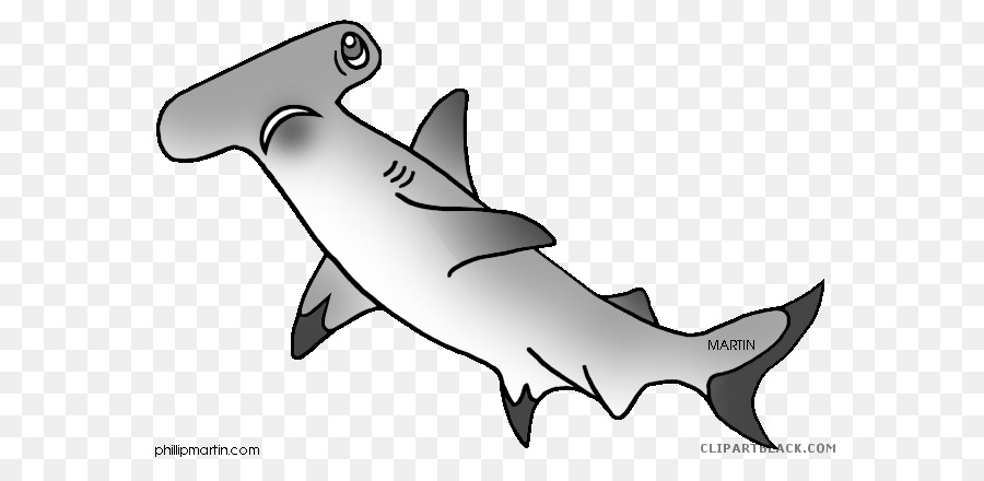 Great white shark Clip art Hammerhead shark Shortfin mako shark - shark png download - 648*423 - Free Transparent Shark png Download.