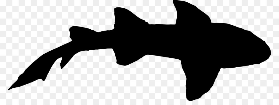 Hammerhead shark Silhouette Clip art - Shark jump png download - 850*327 - Free Transparent Shark png Download.