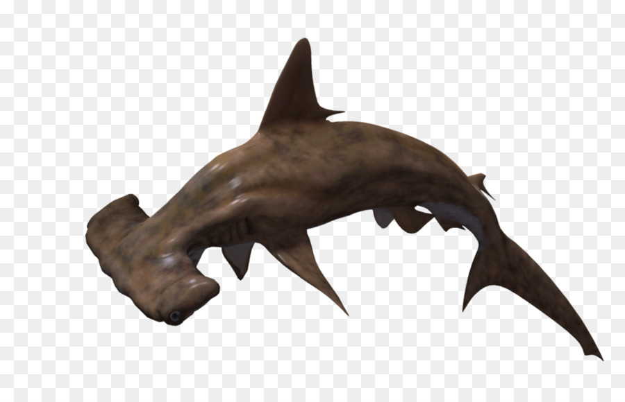 Hammerhead shark - Shark PNG Pic png download - 1024*639 - Free Transparent Shark png Download.