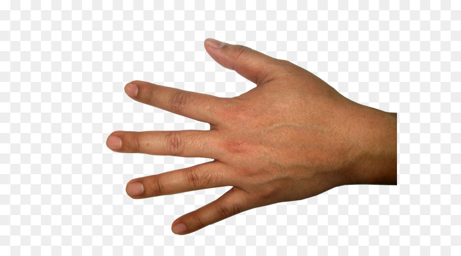 Hands PNG, hand image free png download - 3264*2448 - Free Transparent Hand png Download.