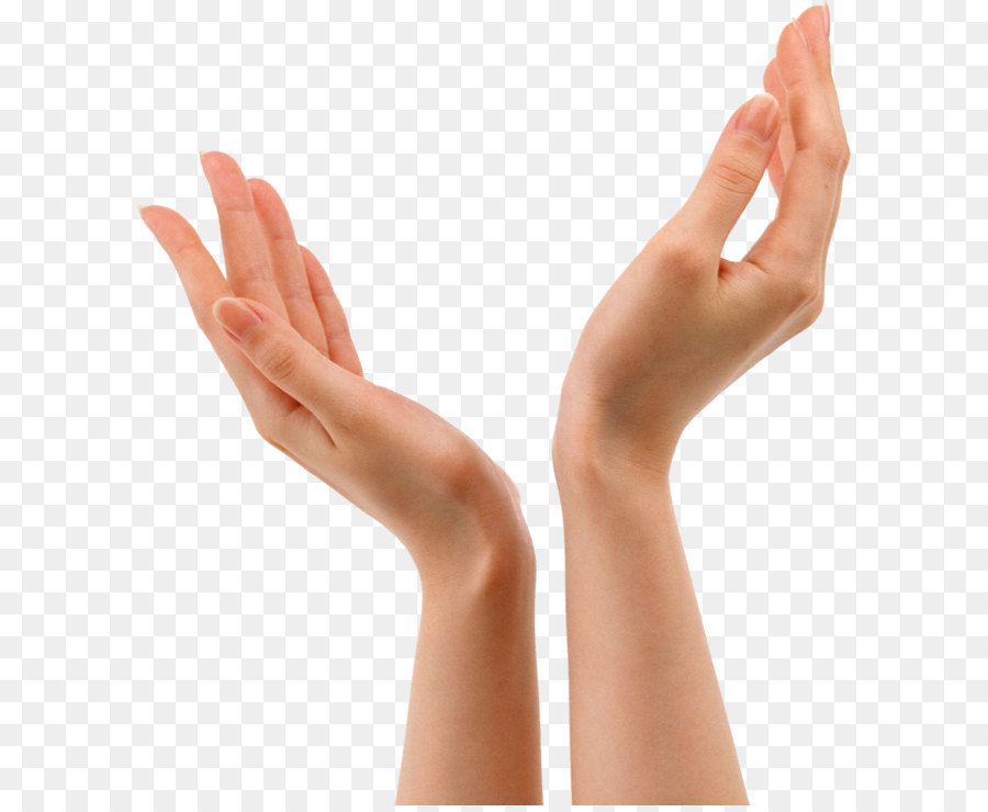 Hand Forearm - Hands Png 8 png download - 1225*1383 - Free Transparent Hand png Download.