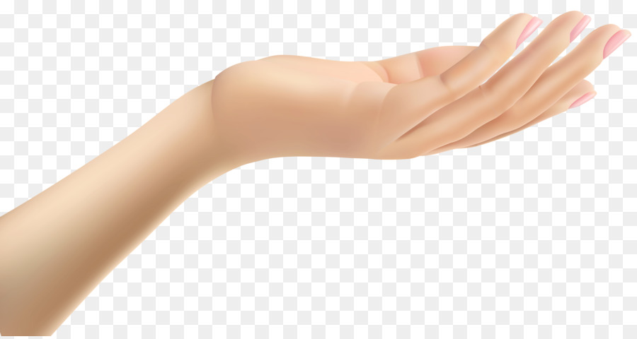 Thumb Hand Arm Clip art - Female Hand png download - 8000*4232 - Free Transparent Thumb png Download.