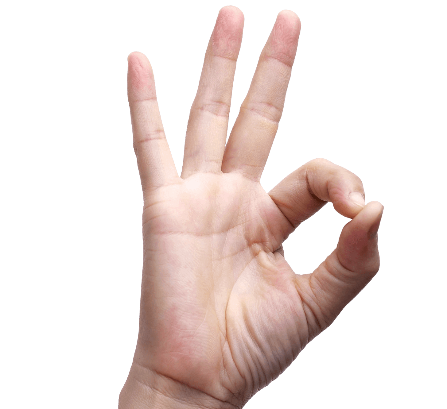 OK Finger Hand Sign language - holding hands png download - 1456*1333