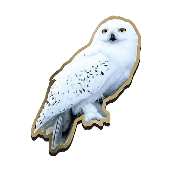 Garr Potter Harry Potter And The Deathly Hallows Fictional Universe Of Harry Potter Hedwig Harry Potter Literary Series Harry Potter Owl Png Download 600 600 Free Transparent Garr Potter Png