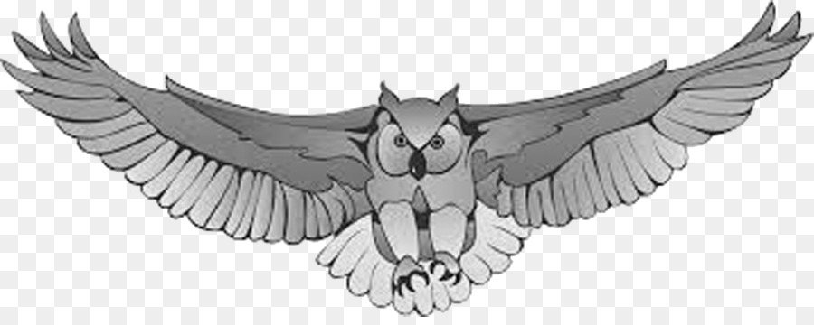 Great Horned Owl Harry Potter Drawing Clip art - owl png download - 1026*400 - Free Transparent Owl png Download.