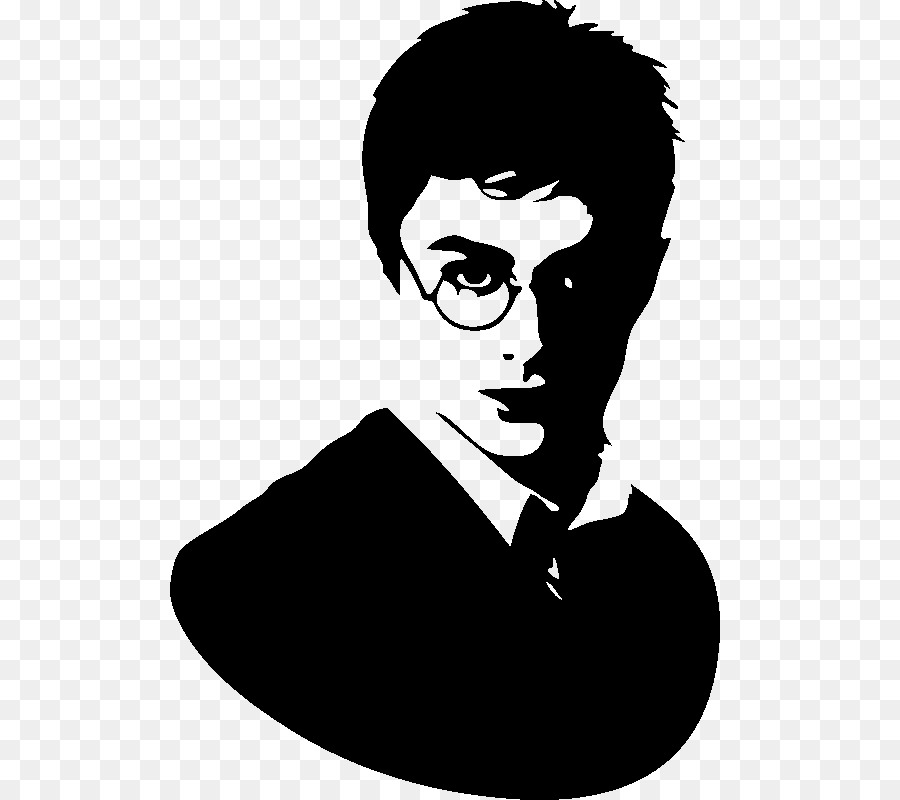 Professor Severus Snape Hermione Granger Harry Potter and the Philosopher
