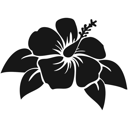 Decal Sticker Shoeblackplant Flower Hawaiian hibiscus hibiscus flower