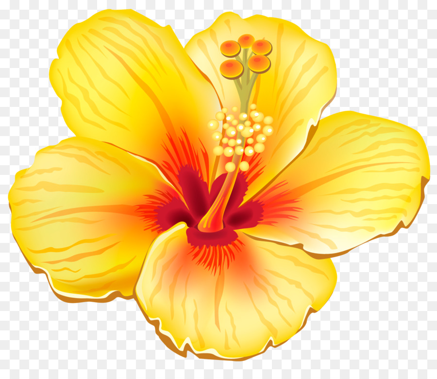 Flower Clip art - Tropical Flowers Cliparts png download - 1322*1125 - Free Transparent Flower png Download.