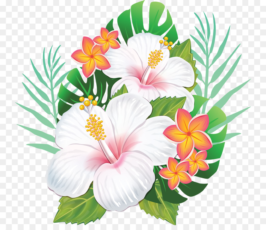 Rosemallows Hawaiian hibiscus Flower - hawaiian flower png download - 800*764 - Free Transparent Rosemallows png Download.