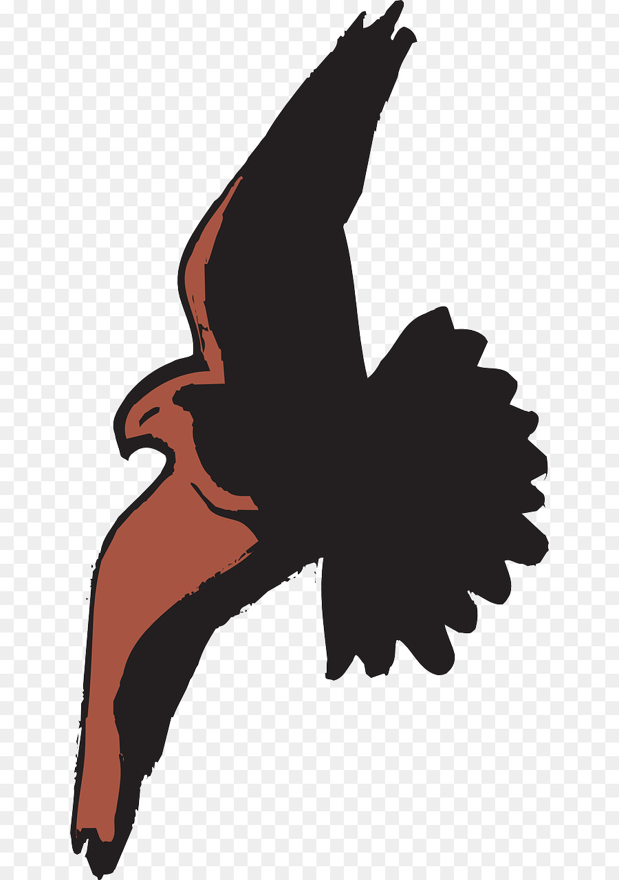 Bald Eagle Bird Hawk Cartoon Clip art - Flying Eagles png download - 696*1280 - Free Transparent Bald Eagle png Download.