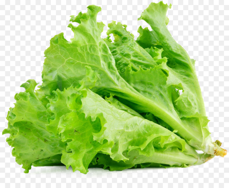 Lettuce sandwich Butterhead lettuce Vegetable Salad Food - lettuce png download - 940*758 - Free Transparent Lettuce Sandwich png Download.