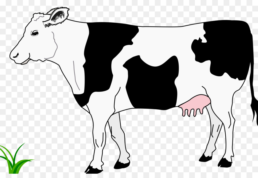 Hereford cattle White Park cattle Calf Ox Clip art - cow png download - 2400*1613 - Free Transparent Hereford Cattle png Download.
