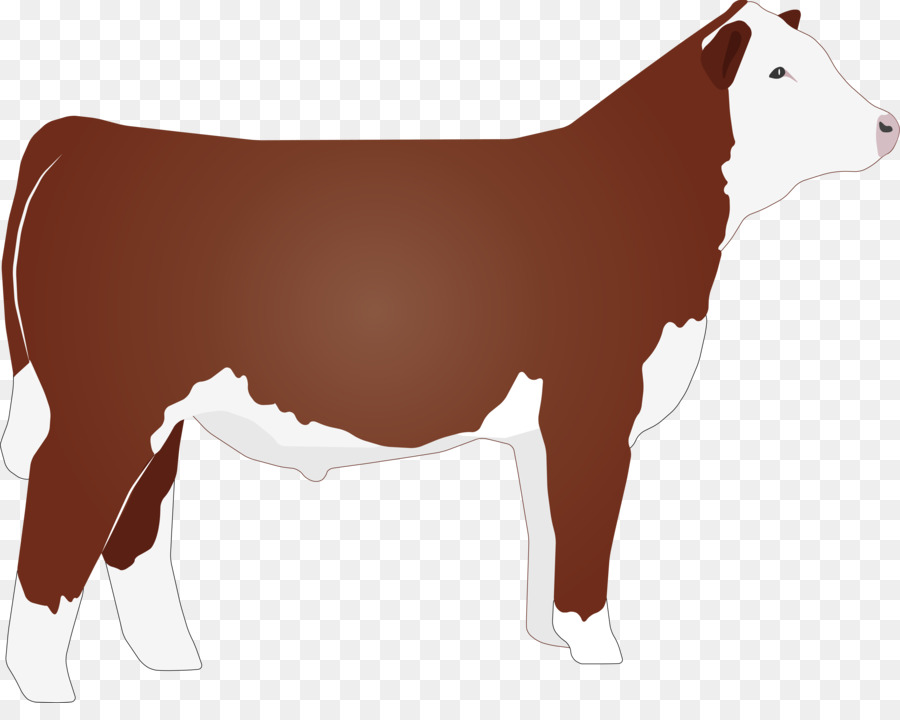 Hereford cattle Beef cattle Angus cattle Clip art - agriculture clipart png download - 6573*5137 - Free Transparent Hereford Cattle png Download.