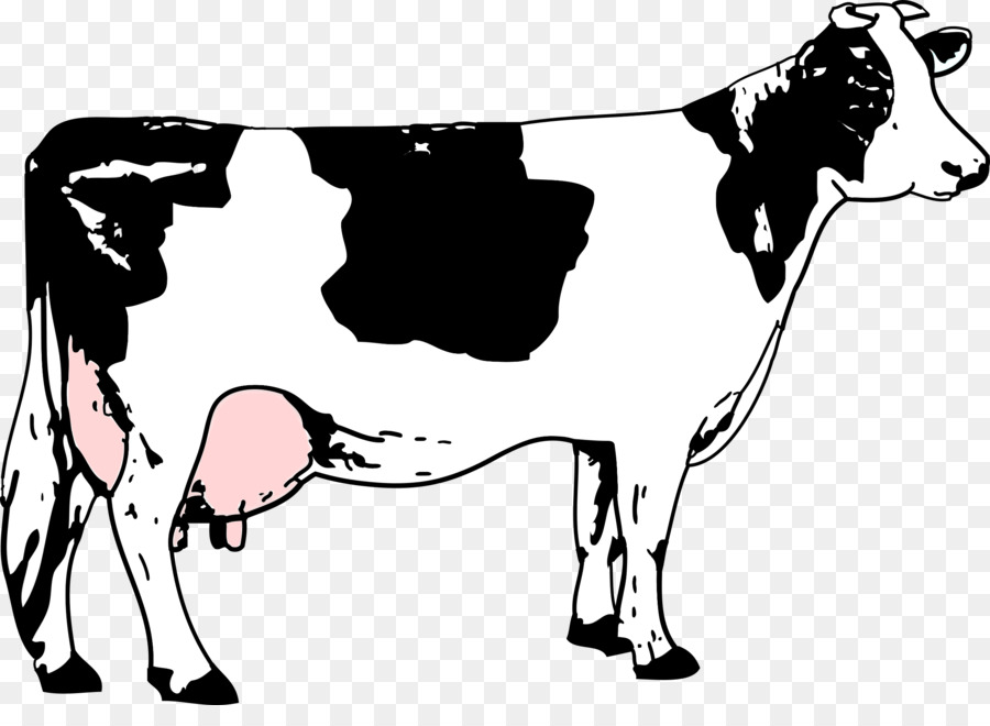 Holstein Friesian cattle Beef cattle Black and white Dairy cattle Clip art - cow png download - 2400*1708 - Free Transparent Holstein Friesian Cattle png Download.