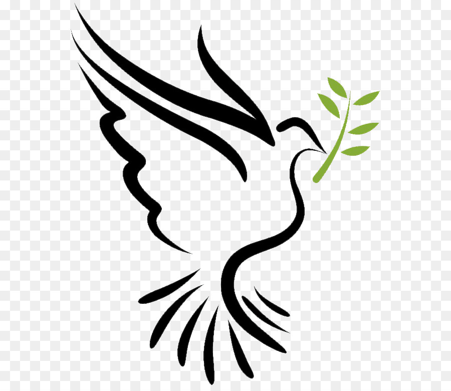 Bible Doves as symbols Holy Spirit Columbidae - holy Spirit png download - 618*768 - Free Transparent Bible png Download.