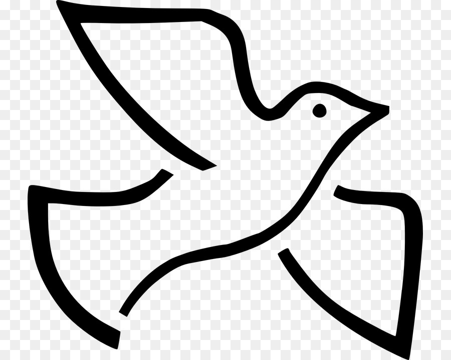 Columbidae Doves as symbols Holy Spirit Clip art - dove clipart png download - 789*720 - Free Transparent Columbidae png Download.