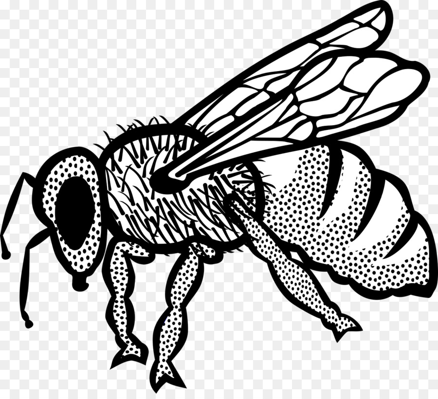 Honey bee Clip art - insect png download - 1280*1151 - Free Transparent Bee png Download.