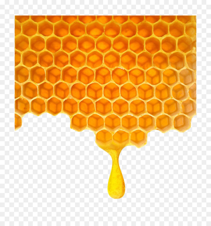 Bee Honeycomb - Poly honey honeycomb png download - 1133*1190 - Free Transparent Bee png Download.