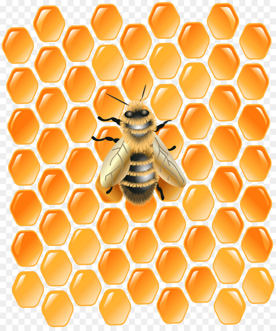 Honey bee Honeycomb Clip art - honeycomb clipart png download - 5027*6000 - Free Transparent Bee png Download.