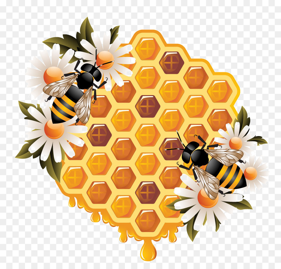 Honey bee Honeycomb Beehive - bee png download - 888*858 - Free Transparent Bee png Download.