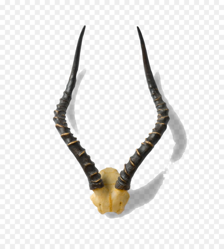 Horn Animal product Antler Jaw - sign of the horns png download - 627*1000 - Free Transparent Horn png Download.