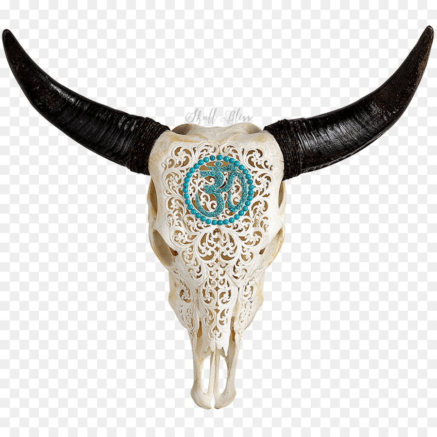 Skull XL Horns Cattle Animal - skull png download - 1000*1000 - Free Transparent Skull png Download.
