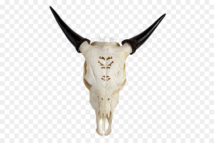 Cattle Skull XL Horns Turquoise - skull png download - 600*600 - Free Transparent Cattle png Download.