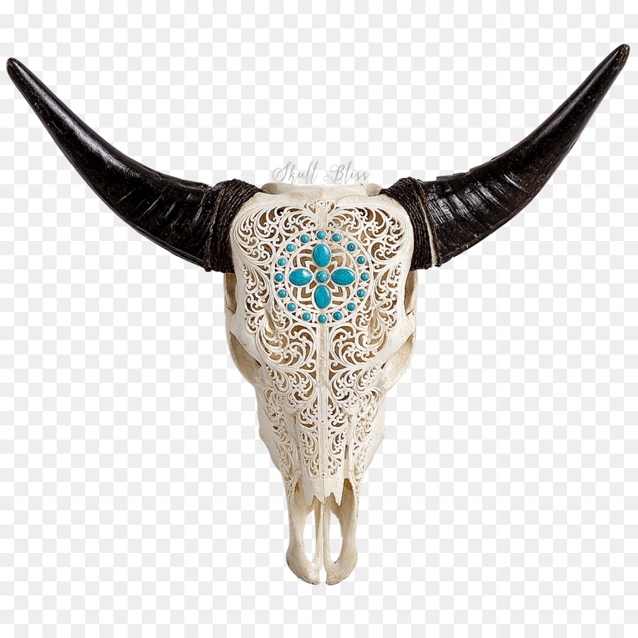 Cattle Skull XL Horns Animal - skull png download - 1000*1000 - Free Transparent Cattle png Download.
