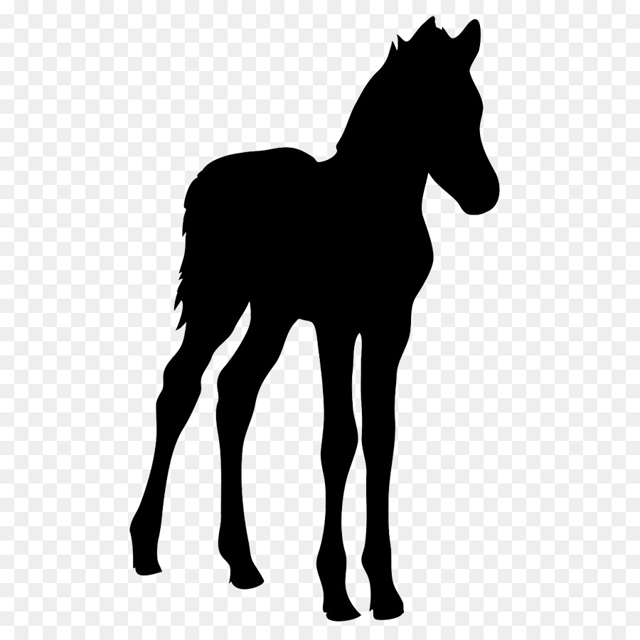 Horse Foal Silhouette Clip art - Free Horse Graphics png download - 567*886 - Free Transparent Horse png Download.