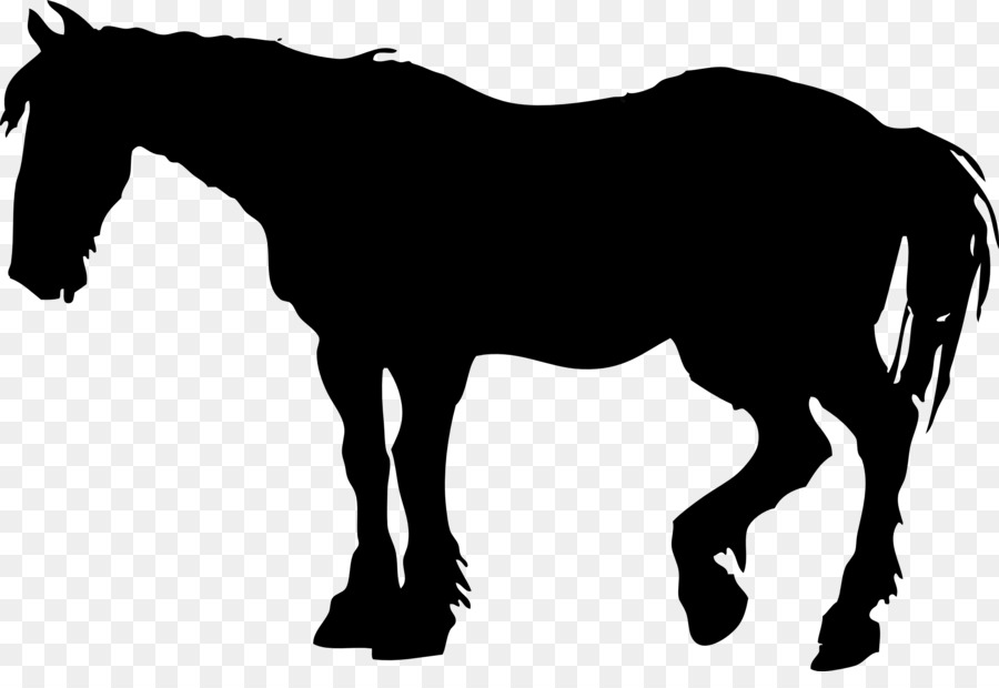 Horse Foal Mare Colt - animal silhouettes png download - 2555*1717 - Free Transparent Horse png Download.