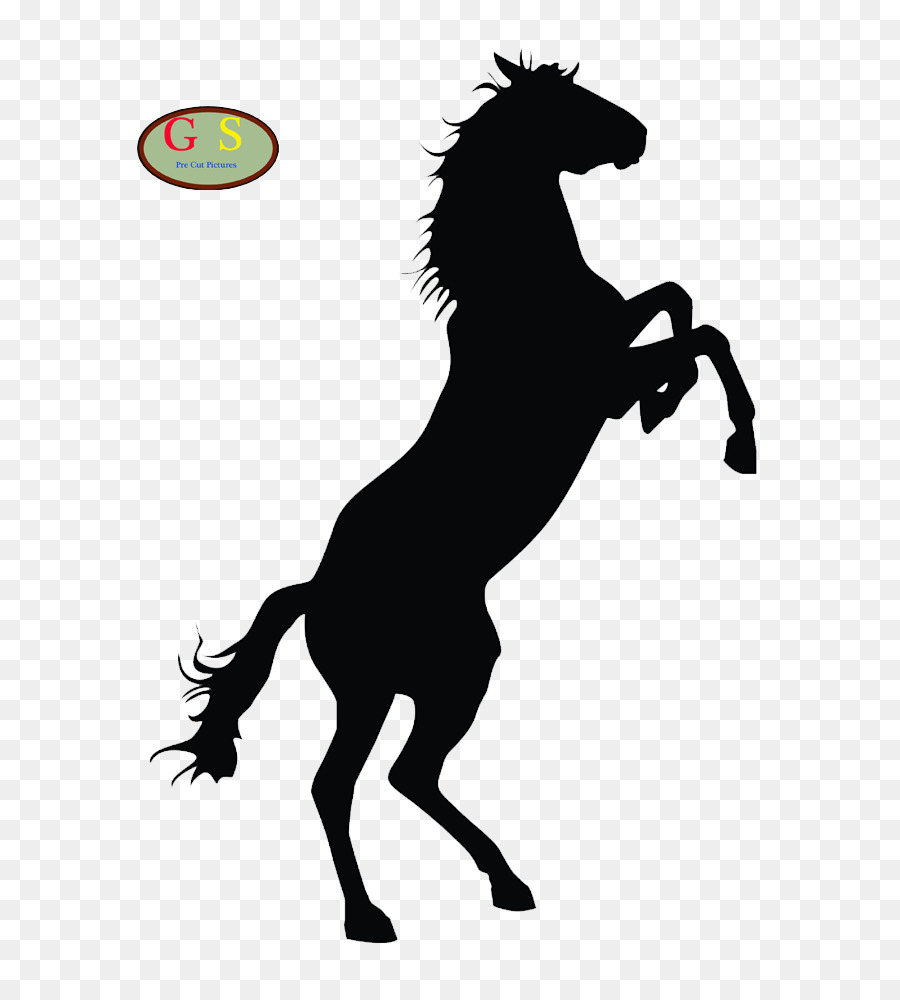 Horse Foal Silhouette Clip art - horse png download - 800*1000 - Free Transparent Horse png Download.