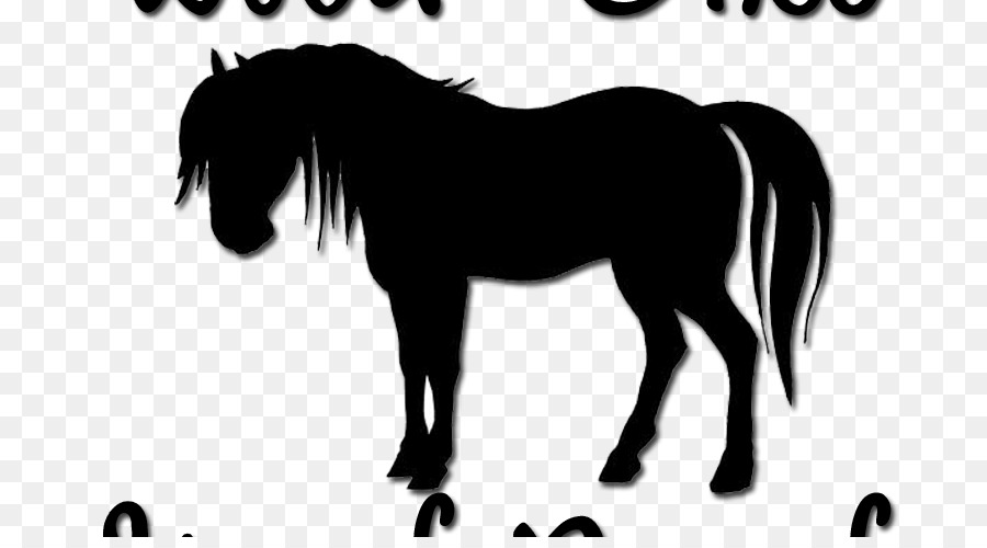 Horse Pony Silhouette Foal Equestrian - horse png download - 800*490 - Free Transparent Horse png Download.